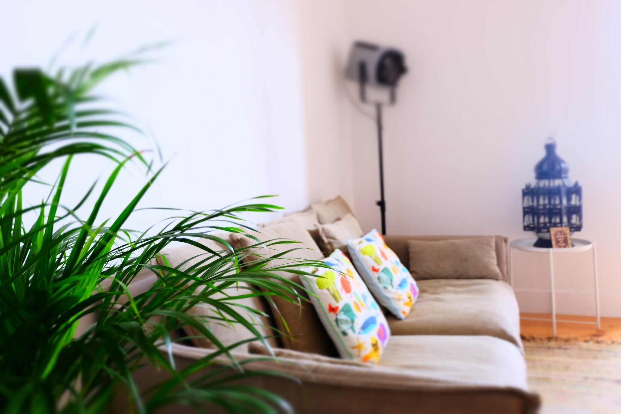 Apartment Luz Do Rio